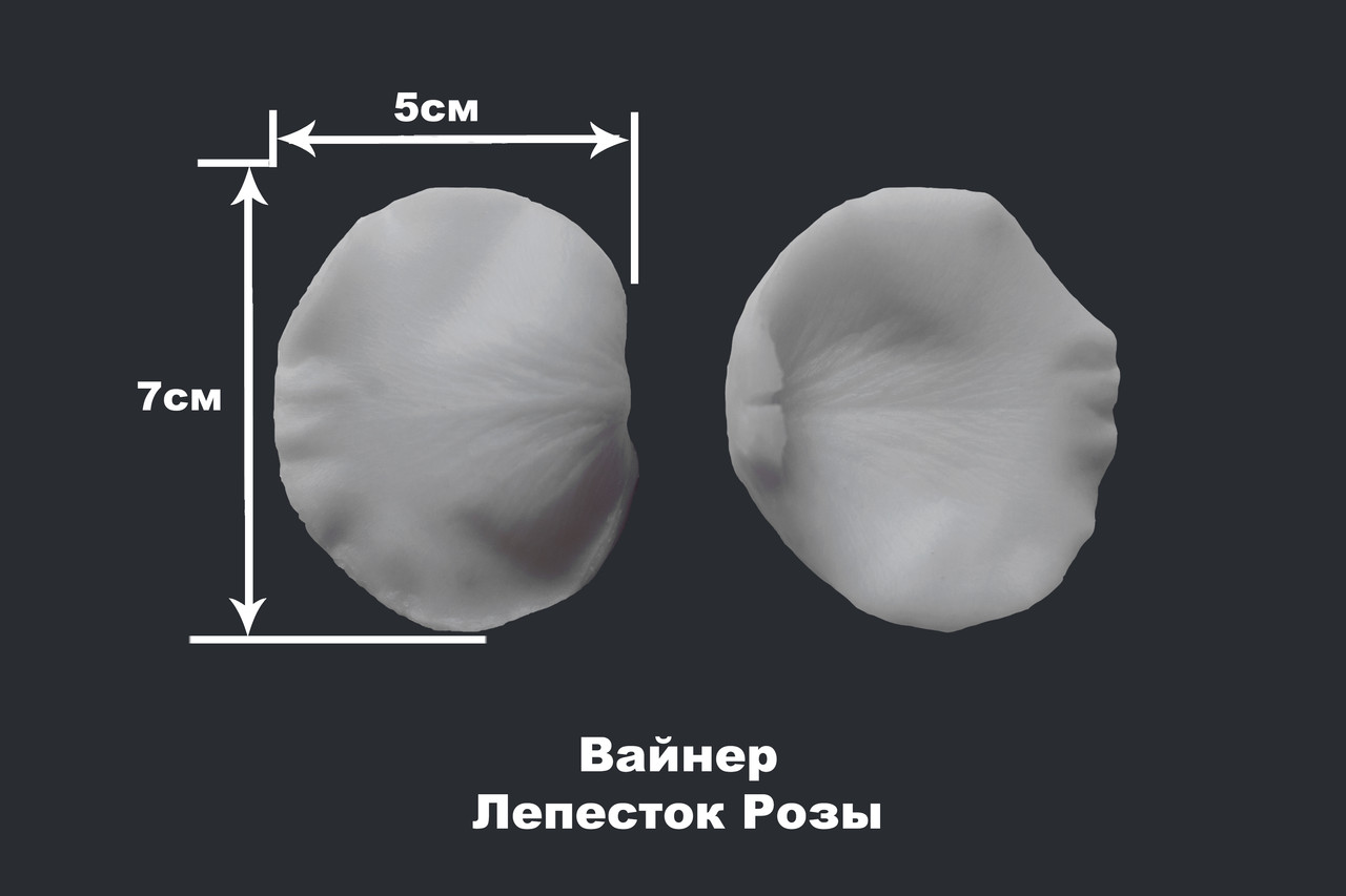 Вайнер Лепесток Розы - фото 1 - id-p44843459