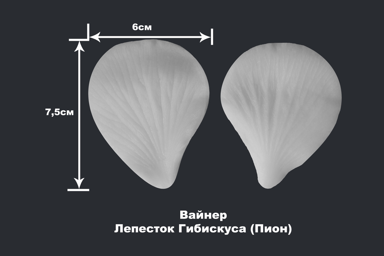 Вайнер Лепесток Гибискуса - фото 1 - id-p44843460