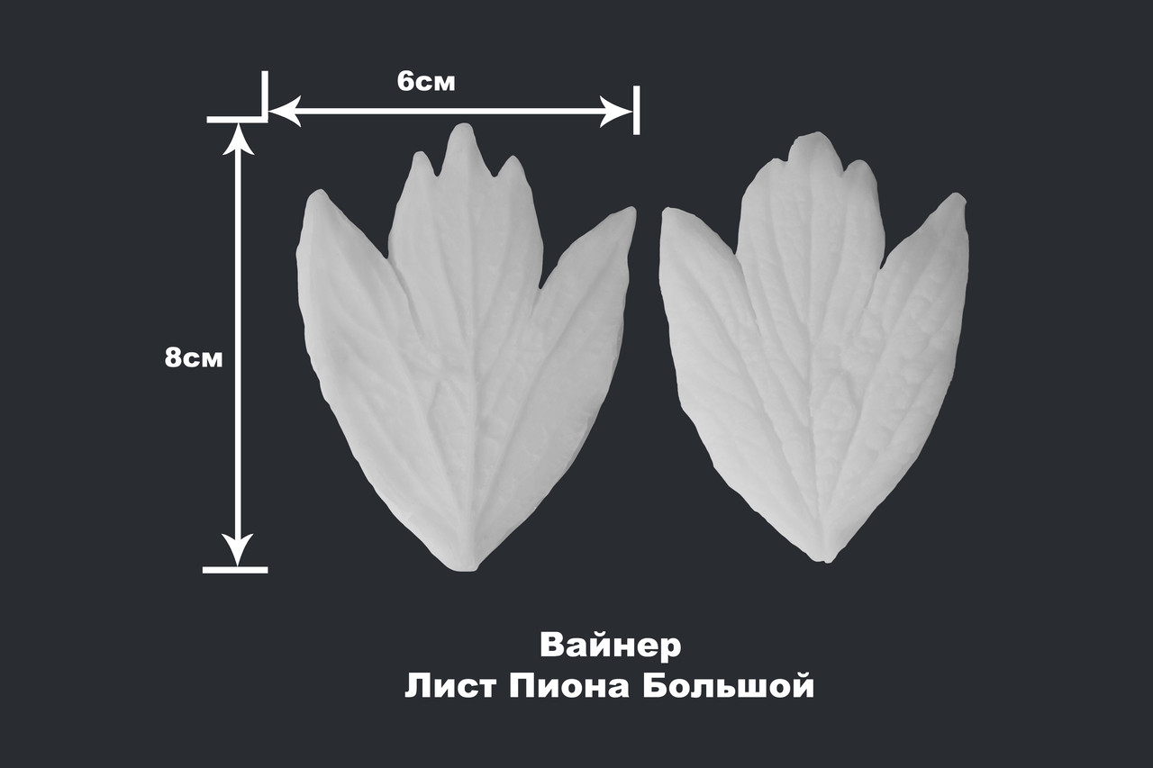 Вайнер Лист Пиона Большой