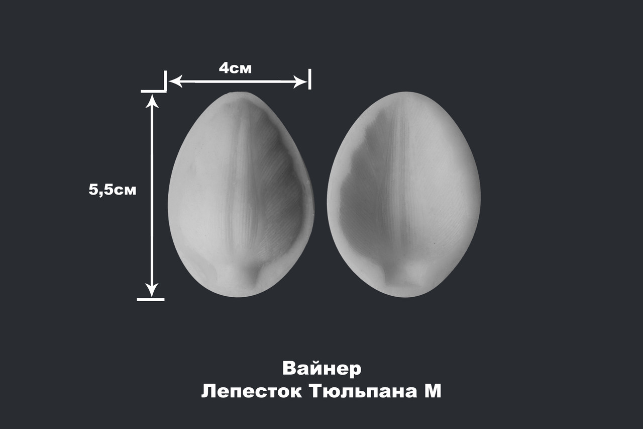 Вайнер Лепесток Тюльпана М