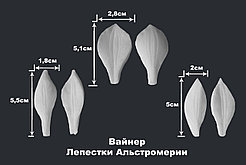 Вайнер Лепестки Альстромерии