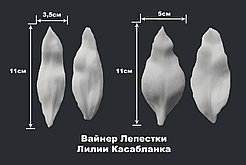 Вайнер Лепестки Лилии Касабланка