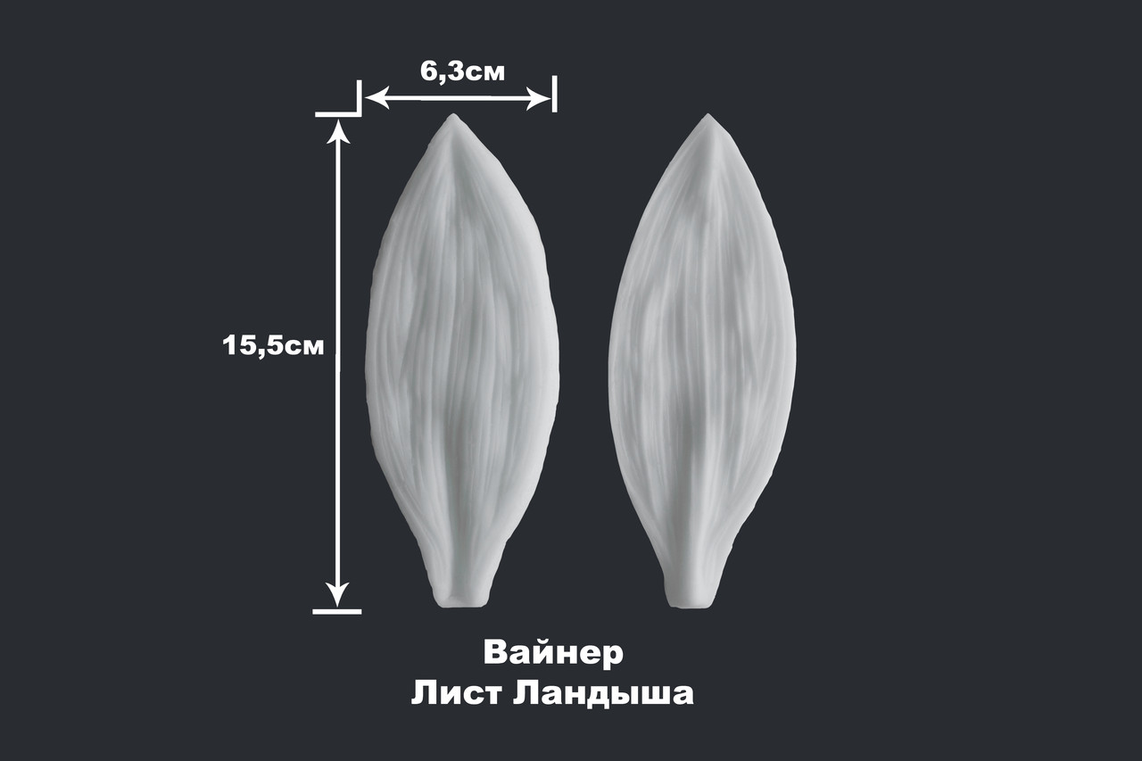 Вайнер Лист Ландыша