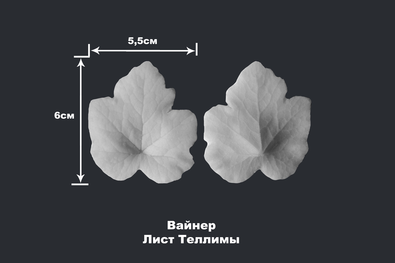 Вайнер Лист Теллимы