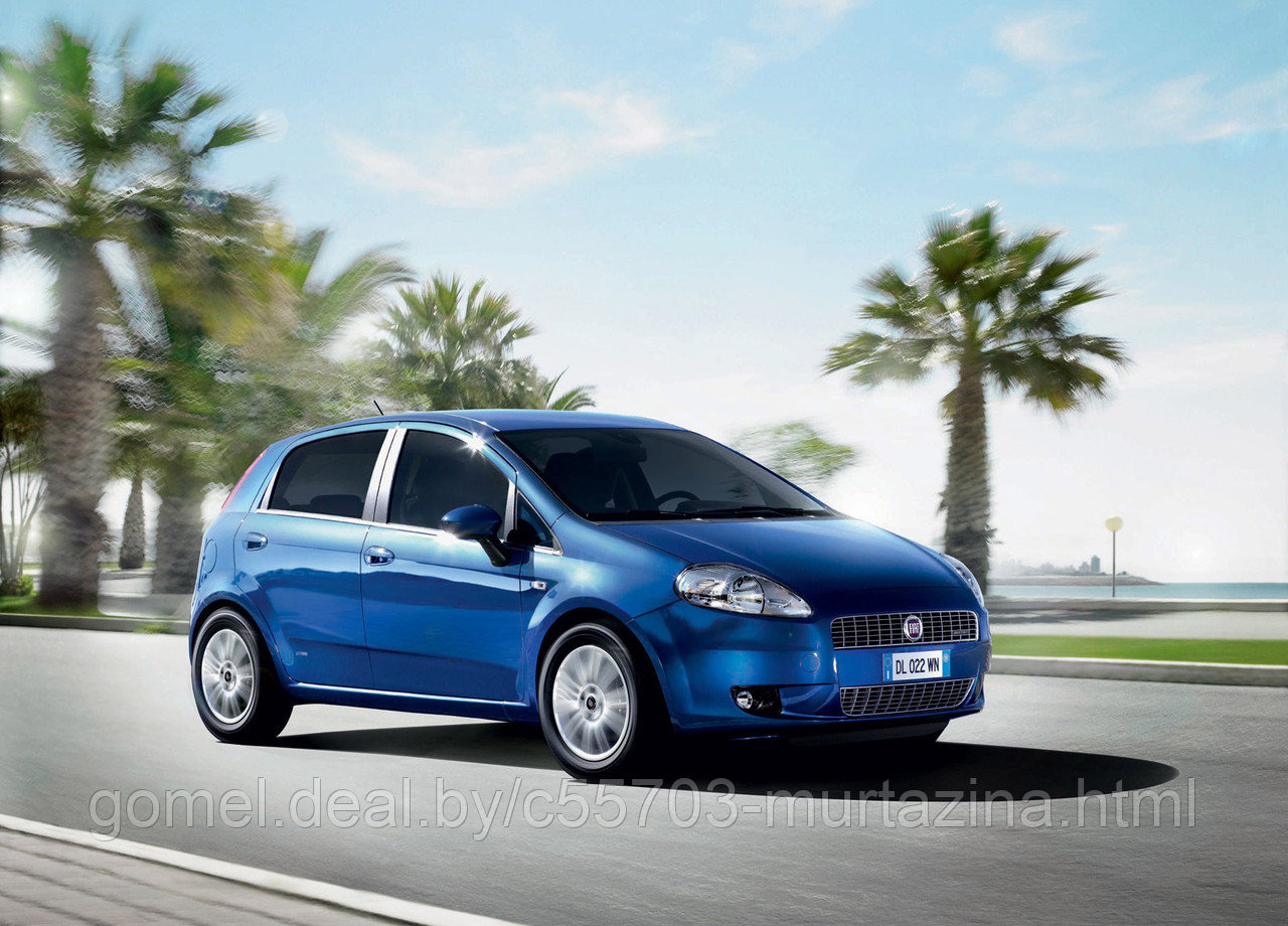 Компьютерная диагностика Fiat Grande Punto - фото 1 - id-p44849460