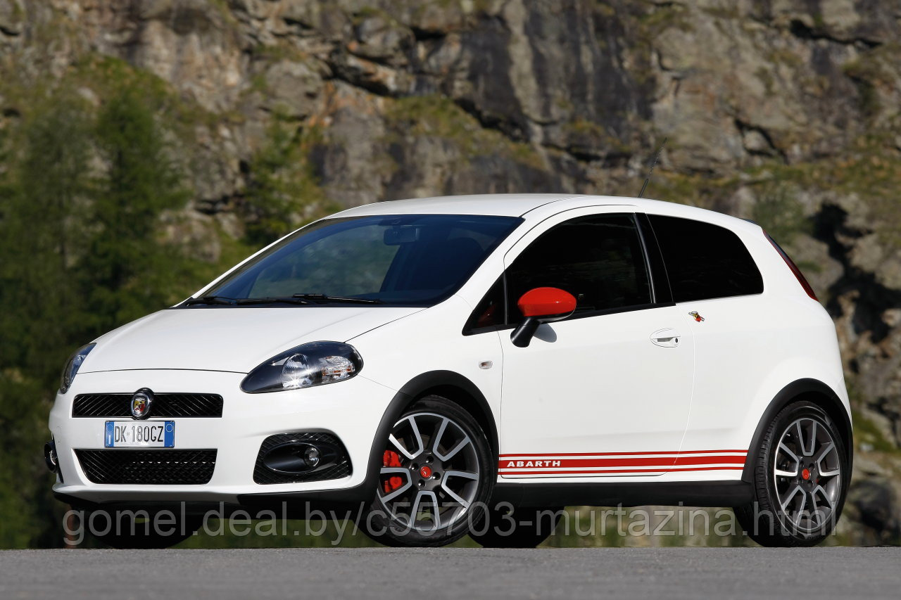 Компьютерная диагностика Fiat Grande Punto - фото 3 - id-p44849460