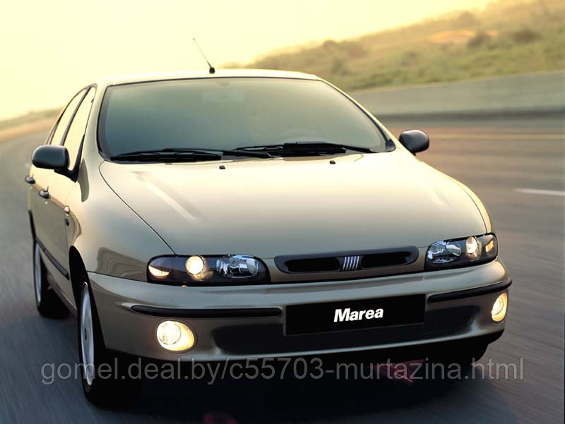 Компьютерная диагностика Fiat Marea - фото 1 - id-p44850720