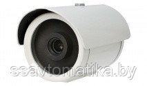 Уличная камера видеонаблюдения RVi-65Magic (4.3 мм)