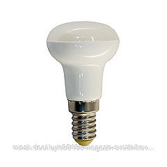 Лампа светодиодная : 5W 230V E14 6400K R39, LB-439