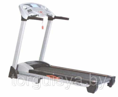 Беговая дорожка электрическая American Fitness SPR-HUO3820CA