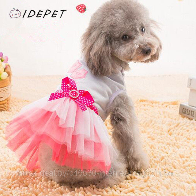 Видеообзор и фото Платье для собаки Pet Fashion Анжелика р. XS