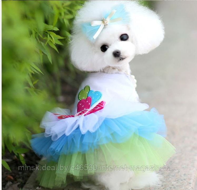 Платье для собаки . Нарядное ,праздничное. Для девочки. - фото 5 - id-p45576439