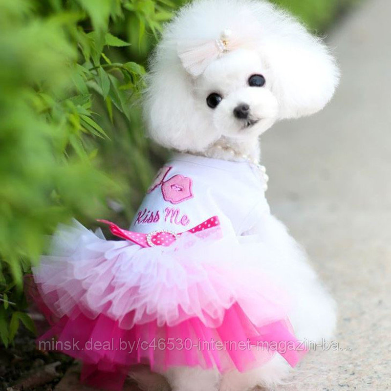 Платье для собаки . Нарядное ,праздничное. Для девочки. - фото 6 - id-p45576439