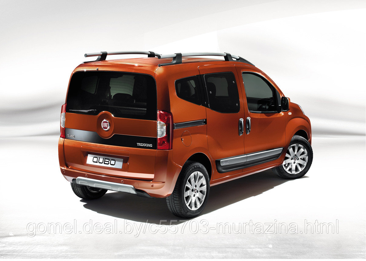 Компьютерная диагностика Fiat Qubo - фото 3 - id-p46619215