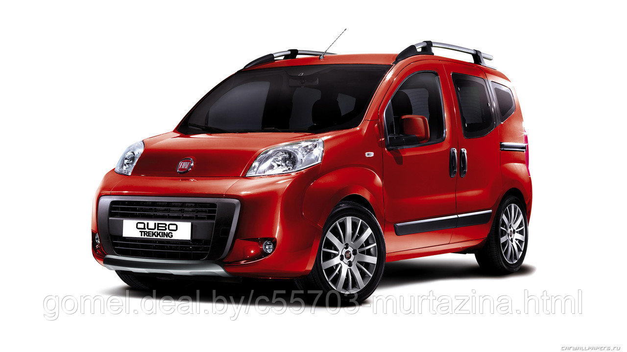 Компьютерная диагностика Fiat Qubo - фото 1 - id-p46619215