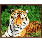 Картина по номерам Хозяин тайги (PC4050016) 40х50 см, фото 2