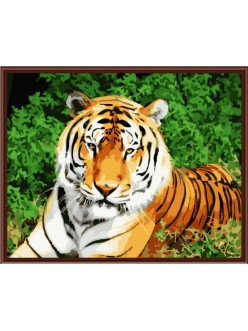 Картина по номерам Хозяин тайги (PC4050016) 40х50 см, фото 2