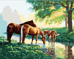 Картина по номерам Лошади у ручья (PC4050004) 40х50 см, фото 2