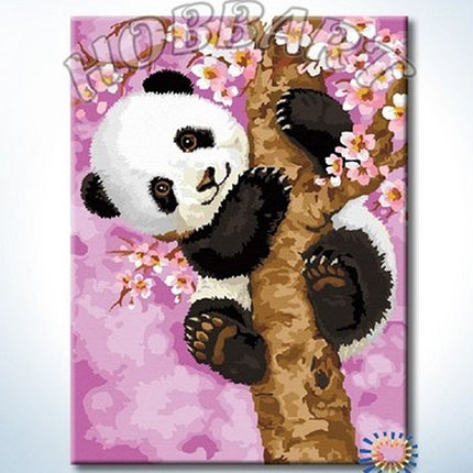 Картина по номерам Медвежонок панды (HB3040160) 30х40 см, фото 2