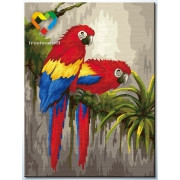 Картина по номерам Дуэт попугаев (HB3040119) 30х40 см