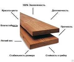 Термодерево