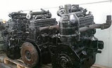 Двигатель ММЗ Д-260, фото 2