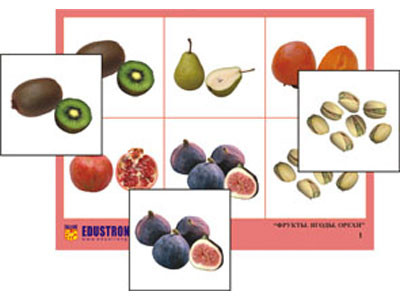 Лото "Фрукты, ягоды, орехи" (4 планшета, 24 карт., цвет., ламинир.)