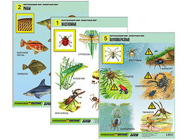 Комплект таблиц для нач. шк. "Окружающий мир. Животный мир" (8 табл., А1, лам.)
