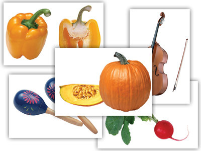 Набор предметных картинок "Овощи. Музыкальные инструменты" (48 шт., А4, с магнитами) - фото 1 - id-p47813899
