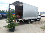 Доставка грузов на склад заказчика с СВХ и ПТО. Авто с гидробортом и рохлей, фото 8