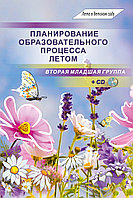 Планирование образовательного процесса летом. Вторая младшая группа (книга+CD)