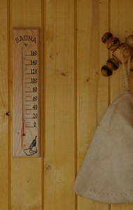 Термометр для бани и сауны ТСС-2 Б - фото 2 - id-p48634480