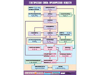 Таблица демонстрационная "Генетическая связь органических веществ" (винил 100x140)