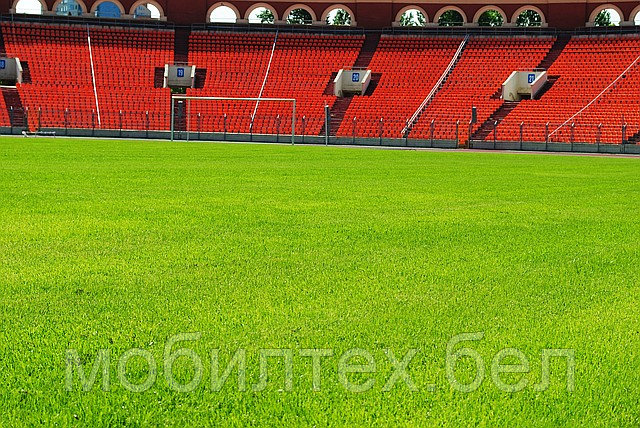 Газонная трава Спорт Профи, 10кг - фото 4 - id-p488464