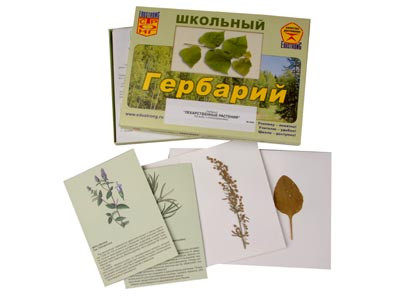 Гербарий "Лекарственные растения" (22 вида, с иллюстрациями) - фото 1 - id-p48823144