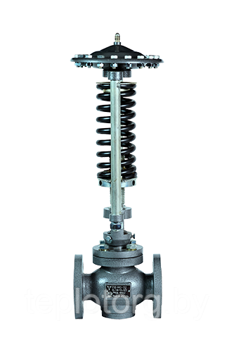 Регулятор расхода и давления прямого действия РД (РР) DN-100 ст. 12Х18Н10Т - фото 1 - id-p49832680