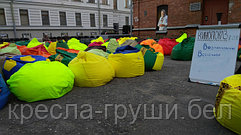 бескаркасные кресла груши на показе лекции Лоуренса Краусса