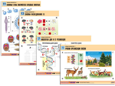 Комплект таблиц по биологии дем. "Общая биология 1" (16 табл., формат А1, лам.)