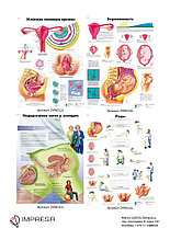 Медицинские плакаты
