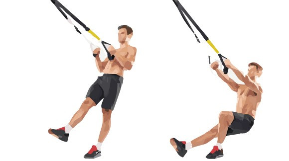 TRX петли Hawk Тренажер-петли TRX - фото 4 - id-p49480961