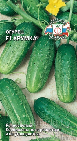 Огурец ХРУМКА, 0.3г