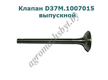 Клапан D37M 1007015 выпускной - (А0509002)
