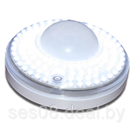 Светильник светодиодный (LED) с датчиком движения ДПО - фото 1 - id-p50184937