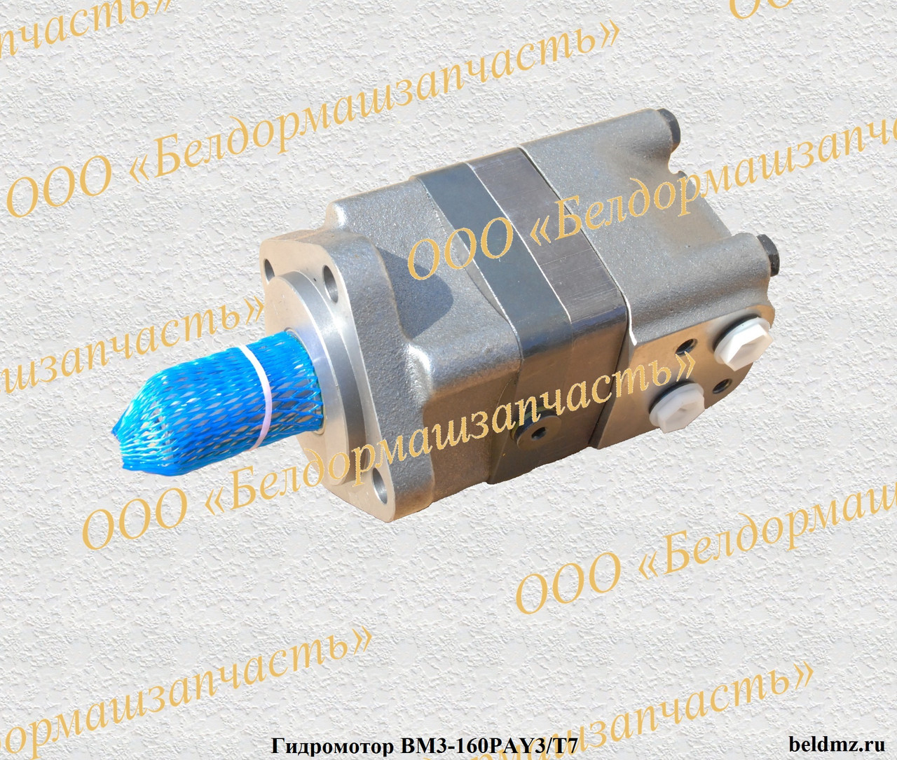 Гидромотор героторный BM3-160 PAY3/T7 - фото 1 - id-p50357507