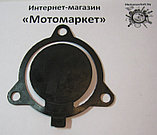Обратный клапан к мотопомпе WP 20., фото 3
