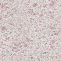 Жидкие обои Silk Plaster Relief 331 | Силк Пластер Рельеф