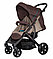 Детская прогулочная коляска Coletto Amico коричневый, фото 2