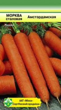 Морковь столовая Амстердамская
