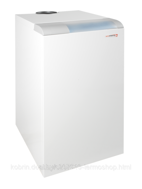Котел газовый Protherm Медведь 50 KLOM. Напольный, чугунный, 45 кВт