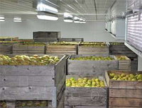 Холодильные камеры для фруктов